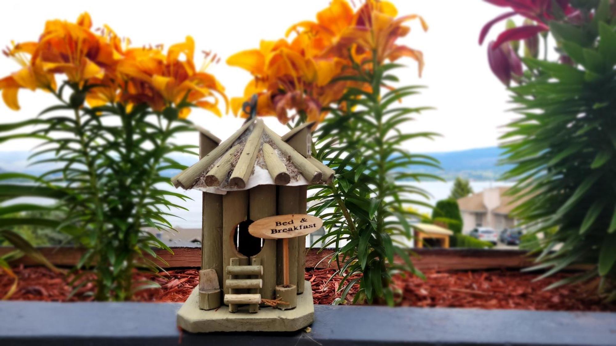 Lakeview Oasis Bed And Breakfast West Kelowna Екстериор снимка